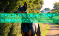 探索海角社区的社团伙伴：发现更多免费高清视频平台(1)