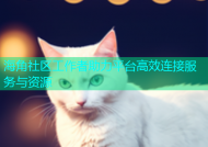 海角社区工作者助力平台高效连接服务与资源