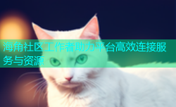 海角社区工作者助力平台高效连接服务与资源