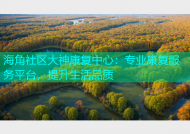 海角社区大神康复中心：专业康复服务平台，提升生活品质
