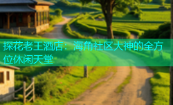 探花老王酒店：海角社区大神的全方位休闲天堂