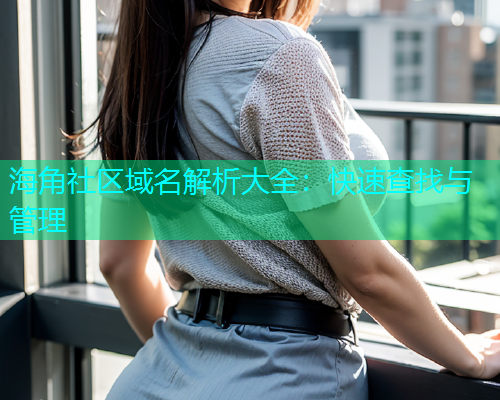 海角社区域名解析大全：快速查找与管理  第1张
