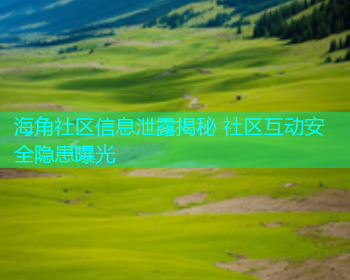 海角社区信息泄露揭秘 社区互动安全隐患曝光  第1张