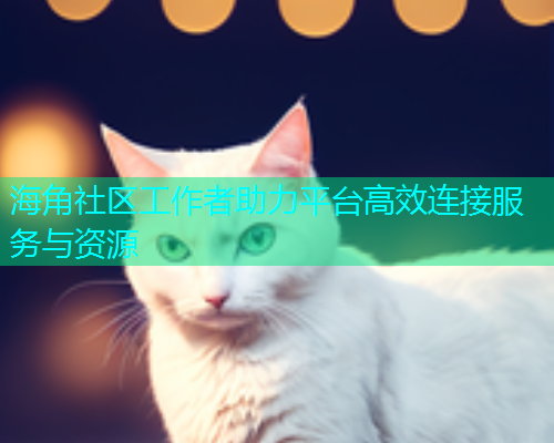 海角社区工作者助力平台高效连接服务与资源  第1张
